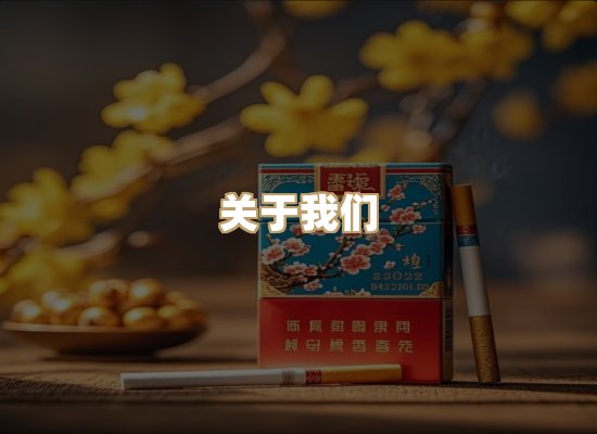 关于星澜香烟网